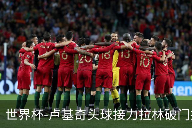 世界杯-卢基奇头球接力拉林破门扳平 加拿大1-1波黑